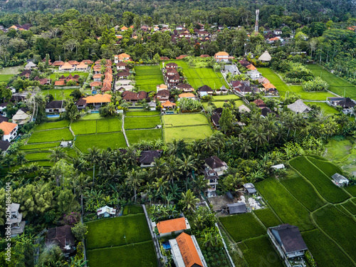 Ubud, Bali aerial view of lush green terraced rice fields weaving through traditional village houses and dense tropical forest, showcasing Ubud serene rural agriculture and landscape