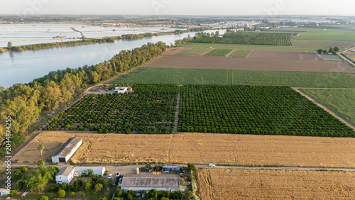 Tableau sur toile Guadalquivir river banks with varied agriculture fields in Coria del Rio
