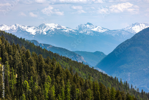 Northwest Montana Mountains, Scenic Snow Capped Mountain Peaks and Montana Green Forests, Iconic Montana Image