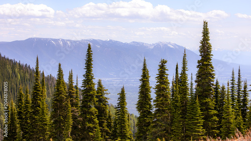 Scenic Mountain Landscape in Flathead Valley Montana, Mountain Peaks, Forest, Trees, Flathead Valley