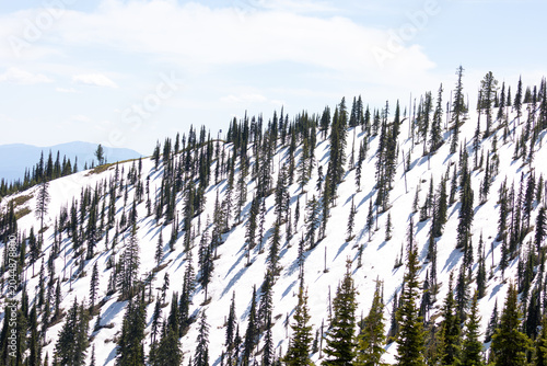 Snow On Mountain Peaks in Whitefish Montana