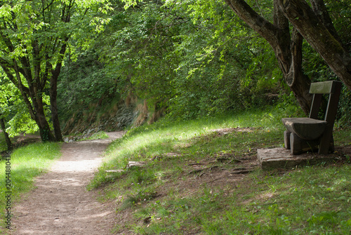 panchina situata nel sentiero del bosco