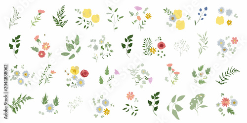Foto botanical flowers watercolor style on white background
