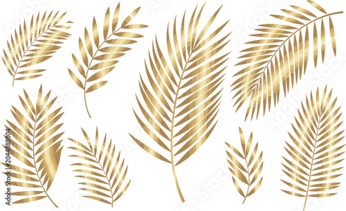 фотографія Golden palm leaves vector set featuring luxury metallic tropical leaf illustrations isolated on a clean white