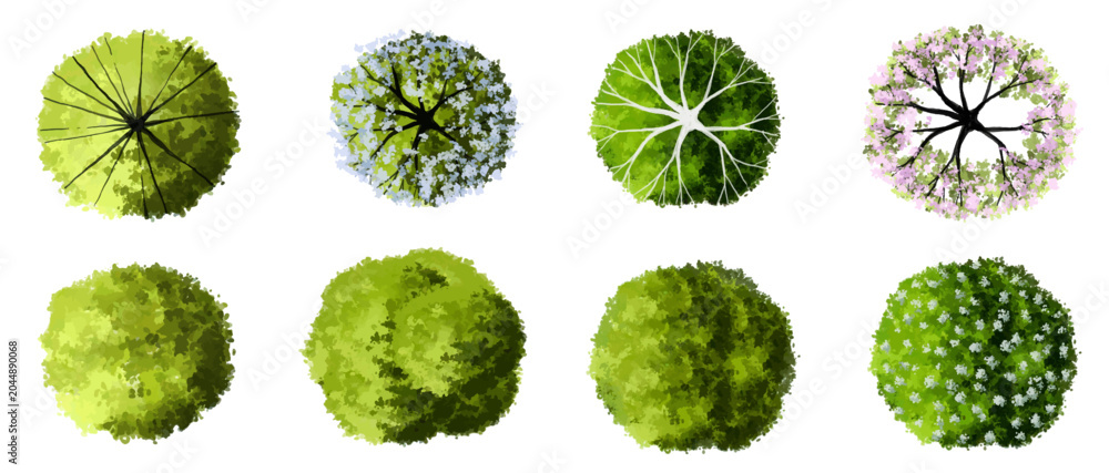 Fototapeta premium Vector set of Top view green tree for outdoor plan or map and architecture drawing, elements for environment and garden ,botanical elements ,Blooming flowers in spring,tropical plants element