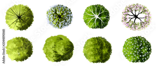 Vector set of Top view green tree for outdoor plan or map and architecture drawing, elements for environment and garden ,botanical elements ,Blooming flowers in spring,tropical plants element