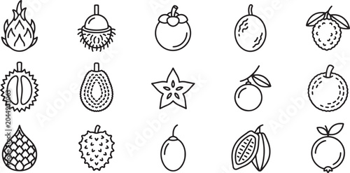 Foto Tropical and exotic fruits outline icon set with dragon fruit rambutan mangostee