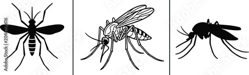 Collection of three distinct mosquito illustrations depicting different styles and poses of the insect