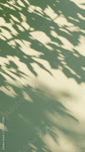 Shadows of leaves dance across a textured surface, creating an abstract pattern of light and shade that evokes a sense of tranquility and natural beauty.