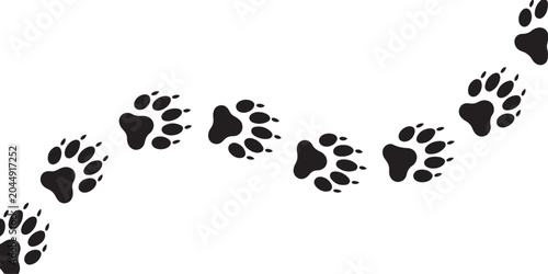 Photos footpath trail of animal fox paws fox paws walking