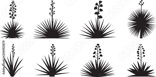 Fotografija Set of yucca icons Silhouette vector illustration