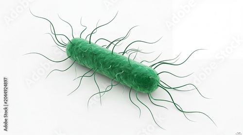 Green bacteria cell with flagella for medical research