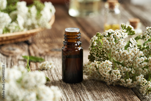 A bottle of aromatherapy essential oil with fresh yarrow flowers