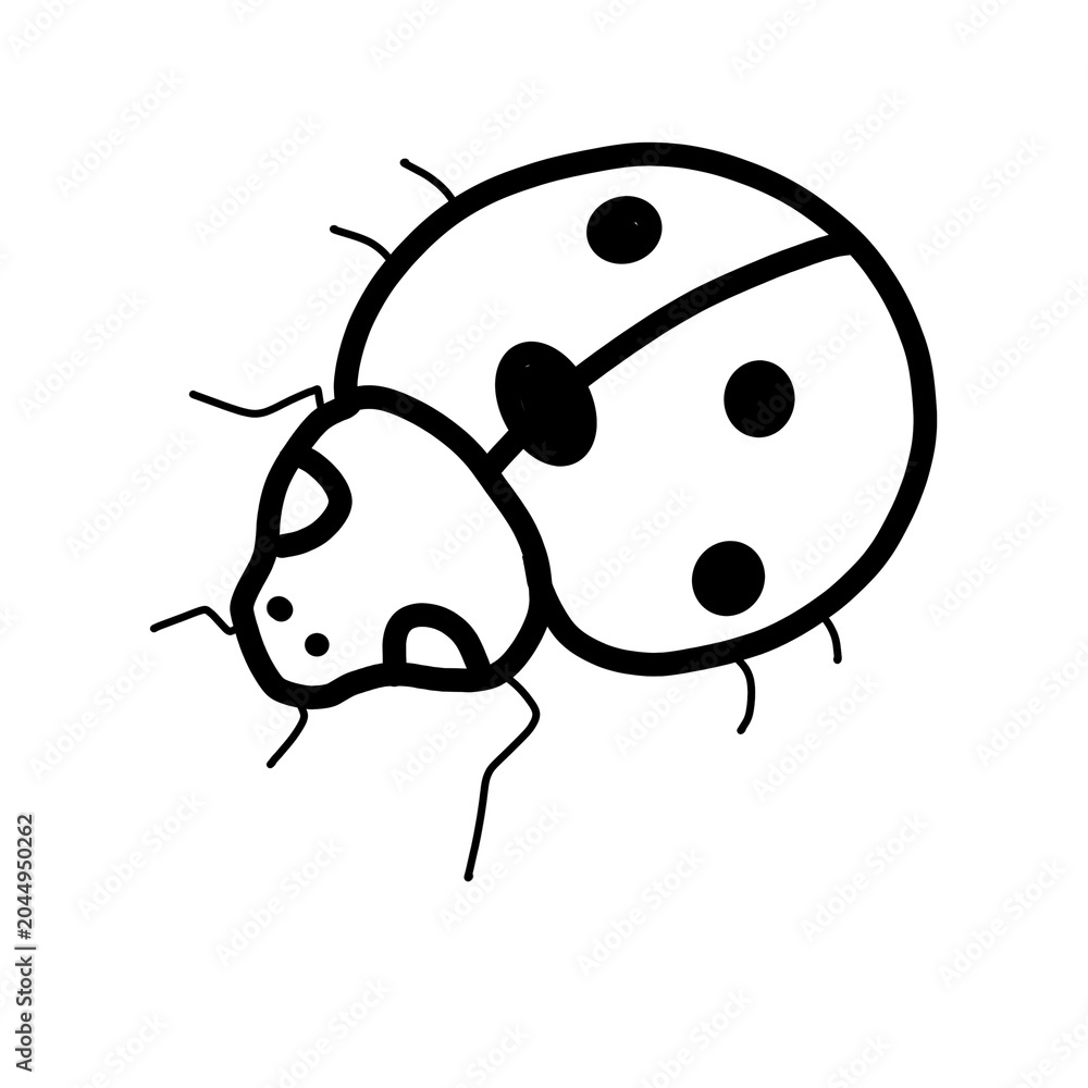 Fototapeta premium Seven Spotted Ladybug Europe Flying Animal Habitat