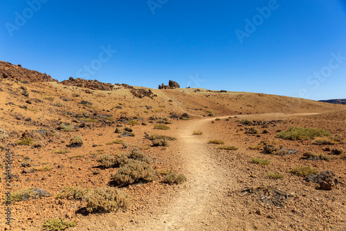 Hiking Trail Through Volcanic Desert in Teide National Park