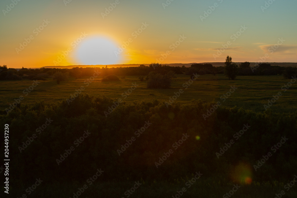 Obraz premium Sunset over a vast green field with silhouettes of trees and shrubs under a clear sky, casting warm light and shadows across the landscape