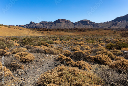 Volcanic Plain in Teide National Park Tenerife