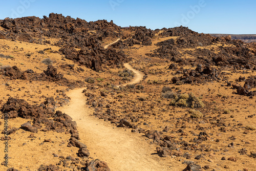 Hiking Trail Through Lava Field in Teide National Park