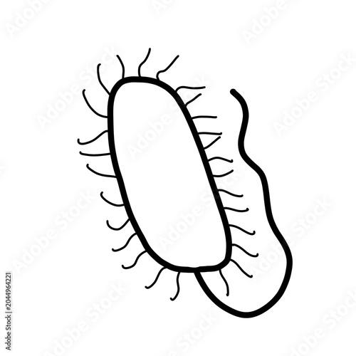 Photography E coli Organism Bacteria Biology
