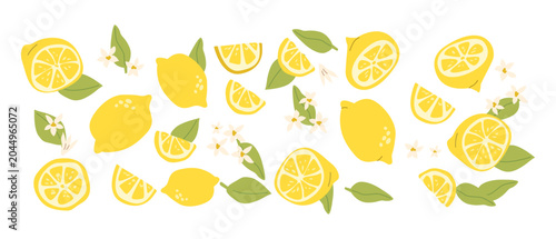 Abstract lemon, citrus fruit set or pattern, contemporary art print. Modern background with hand drawn lemon fruit. Trendy design for wrapping paper, packaging, wall decor.