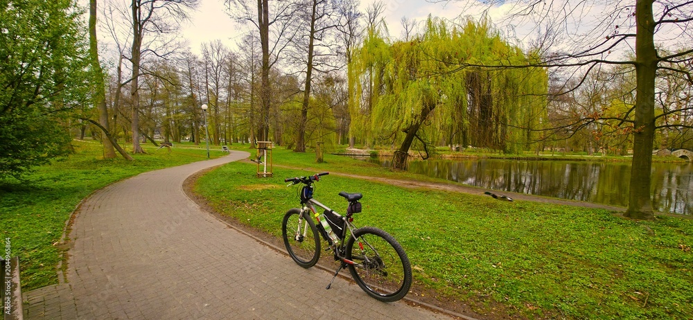 Fototapeta premium cycling in the park