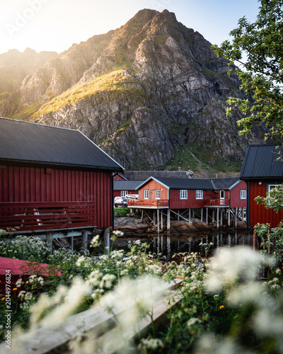 Fotografie lofoten island norway