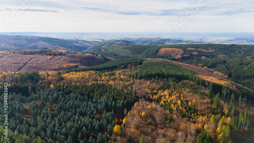 Foto Autumnal deciduous and coniferous forest landscape, autumn colored tree leaf, na