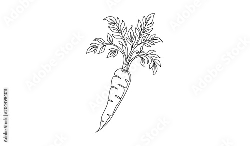 Tableau sur toile Continuous line art illustration of a single fresh carrot with leafy greens vege