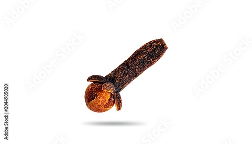 Single Dried Clove Spice Isolated on Light Background
