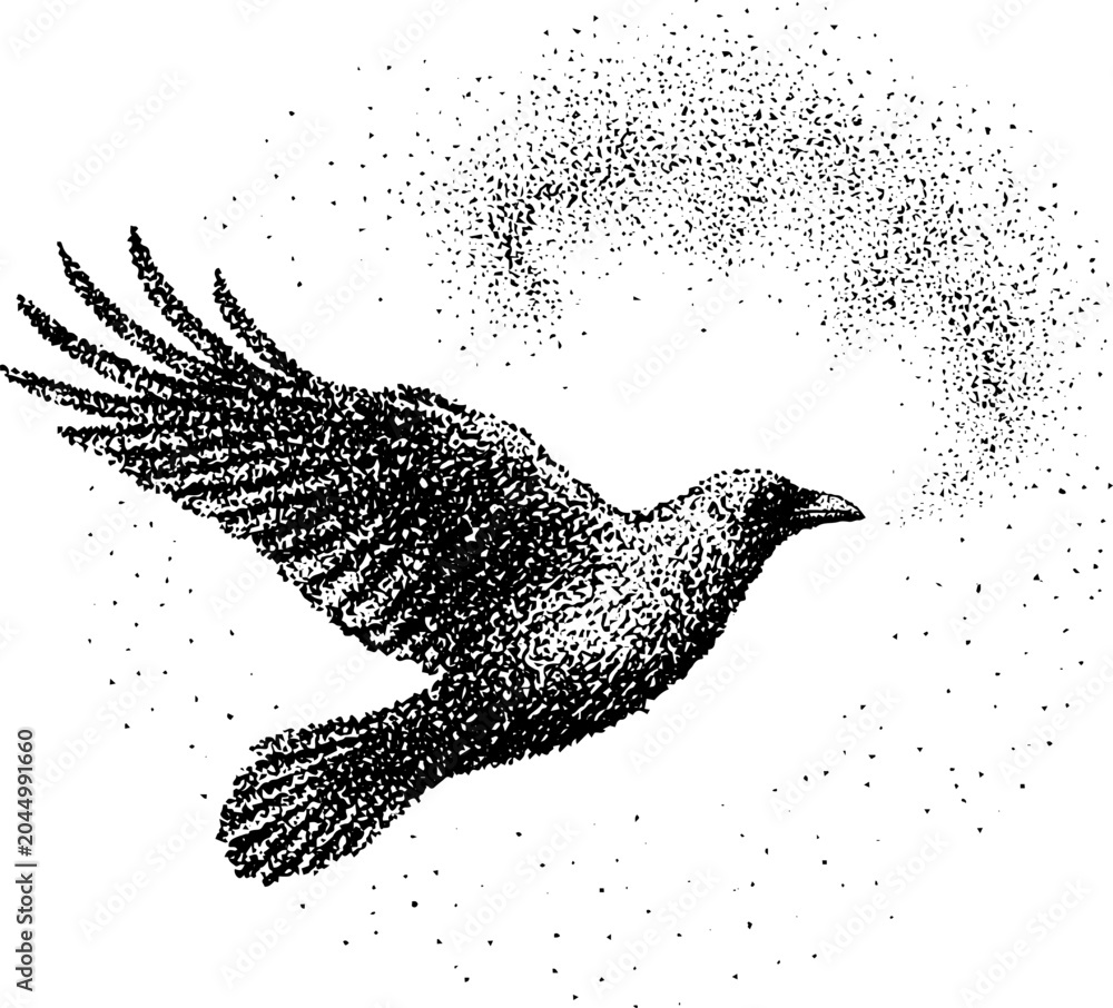 Obraz premium Crow in flight with stippled spray on white background