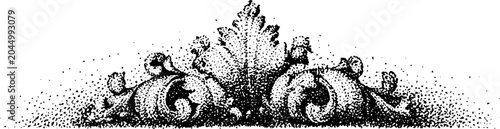 Symmetrical acanthus flourish ornament on white background