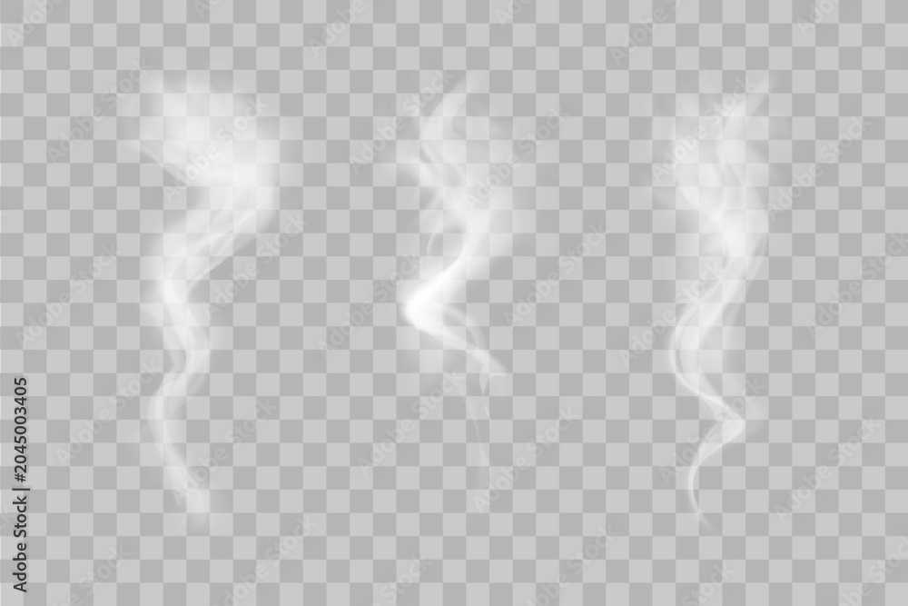 Obraz premium Translucent white smoke swirl vector. Abstract soft smoke trail layout isolated on dark backdrop design.