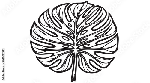 Monstera leaf, tropical plant, black line art, minimalist botanical illustration, decorative foliage