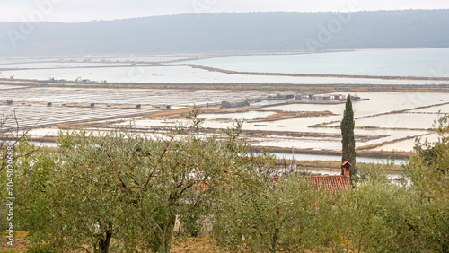 Bild auf Leinwand Aerial View of Salt Making Saltpans Nature Park in Secovlje Sicciole Slovenia Wi