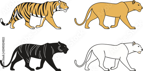 Photography Big cat vector illustration set featuring walking profile views of a striped tig