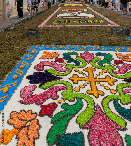 la Orotava, Tenerife, Spain - June 19, 2025. Preparing for the Corpus Christi celebration. Famous religious event and competition of folk art.