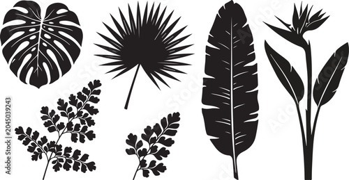 Set of tropical leaves and flowers