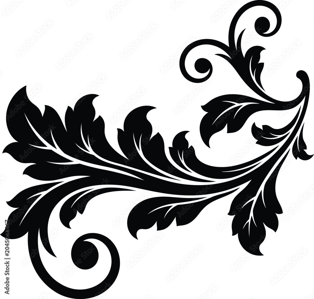 Fototapeta premium Black floral swirl flourish design element