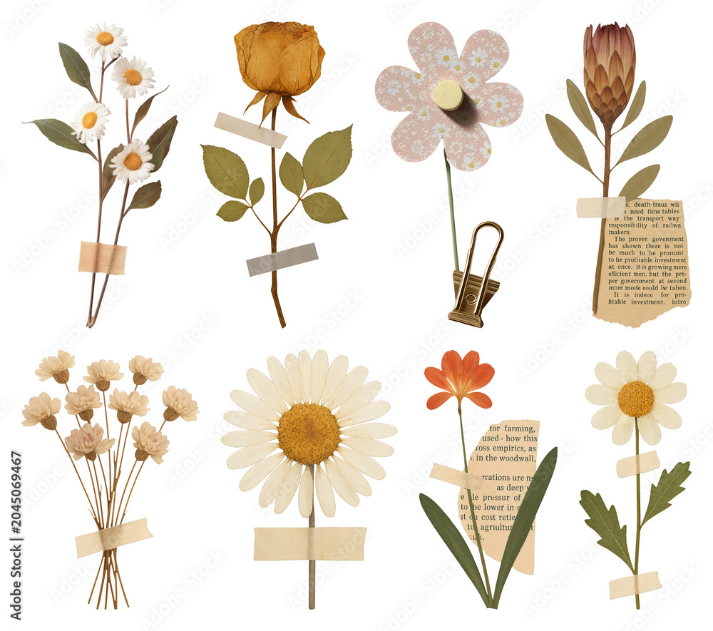 Naklejka premium PNG Vintage floral collage with tape on transparent background