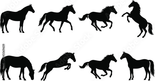 Tableau sur toile Horse silhouette illustrations, standing walking trotting galloping rearing graz