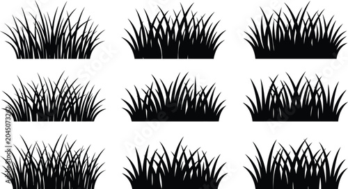 Foto Grass silhouettes collection black vector illustration on white background