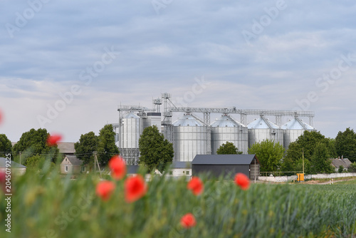 Industrial grain storage silos situated behind a rural field of green crops with vibrant red poppies in the foreground under a cloudy sky