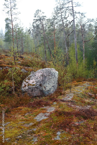 mountain river in autumn