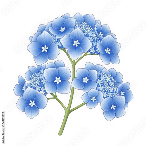 A blue flower with white centers on a green stem