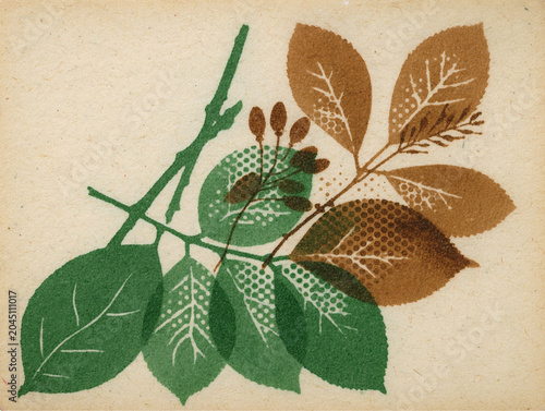 Risograph Print - Forest Green Rust Woodland Zine.