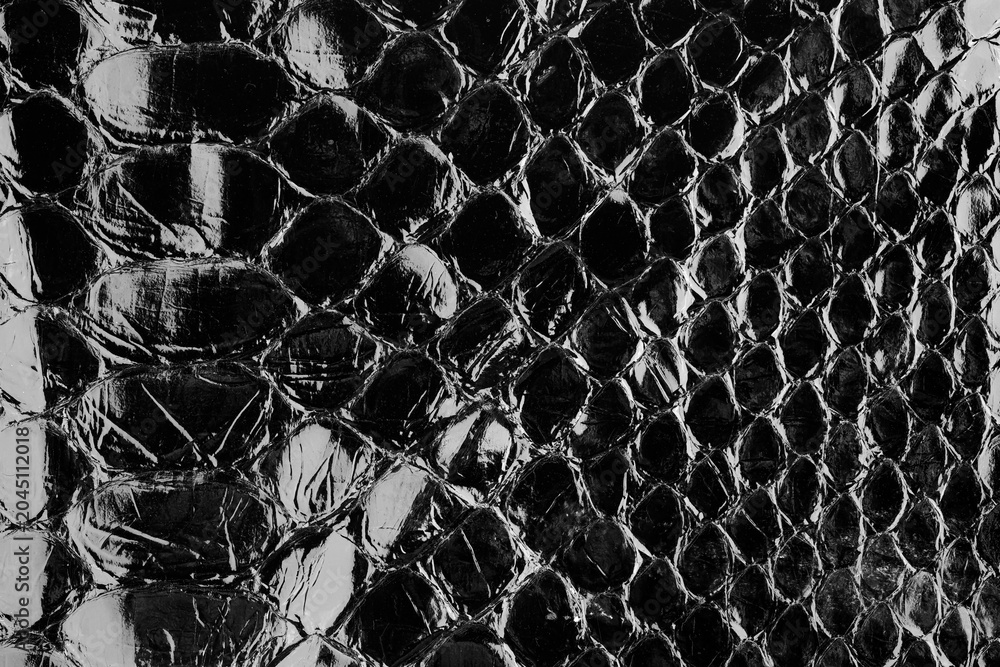 Fotografija Black glossy python leather texture close up with reptile scale pattern for fash