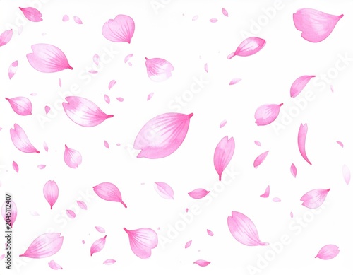 Delicate pink petals drift against a clean white background