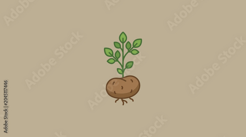 Fotografie Illustration of a Sprouting Potato Tuber
