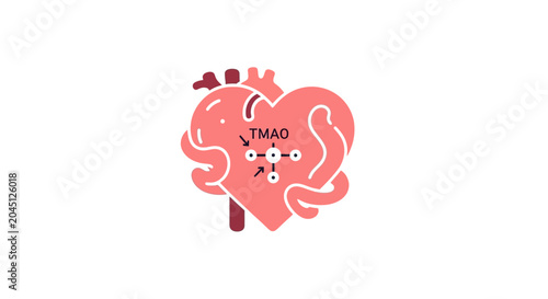 TMAO Heart Diagram: Gut Microbiome and Cardiovascular Health Connection