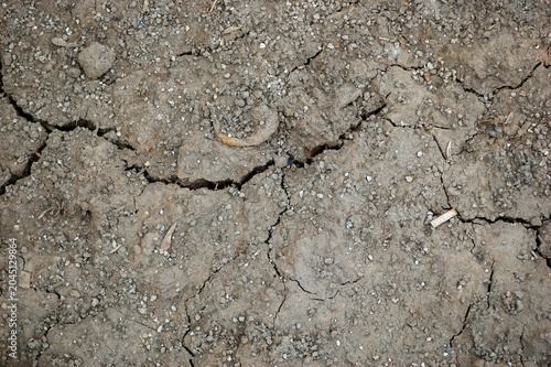 Cracked Dry Soil Texture Background with Pebbles and Rough Earth Surface